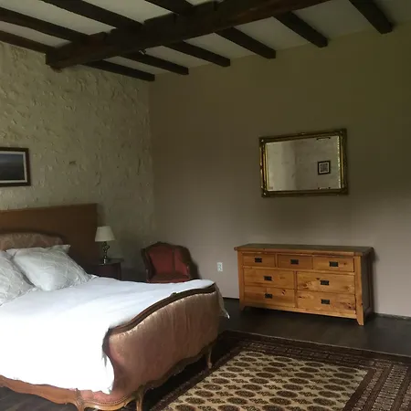 Swallows, Beautiful In The Grounds Of Chateau Beauvoir Ecurat