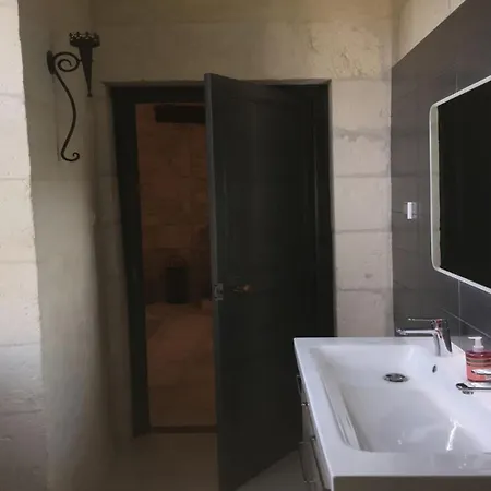 Swallows, Beautiful In The Grounds Of Chateau Beauvoir Feriehus