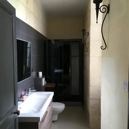 Swallows, Beautiful In The Grounds Of Chateau Beauvoir Ecurat