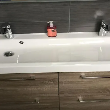 Swallows, Beautiful In The Grounds Of Chateau Beauvoir