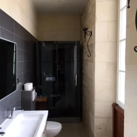 Swallows, Beautiful In The Grounds Of Chateau Beauvoir Ecurat