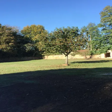 Swallows, Beautiful In The Grounds Of Chateau Beauvoir Ecurat