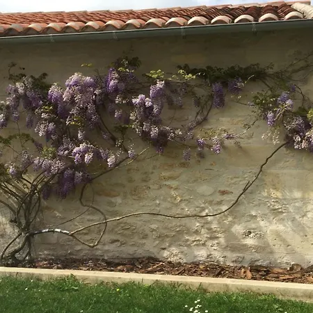 Tatil Evi Swallows, Beautiful In The Grounds Of Chateau Beauvoir