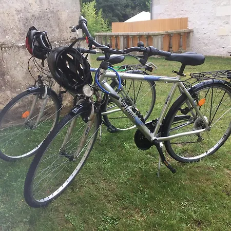 Swallows, Beautiful In The Grounds Of Chateau Beauvoir * Ecurat