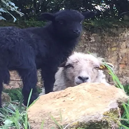 Feriehus Swallows, Beautiful In The Grounds Of Chateau Beauvoir