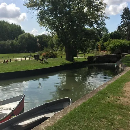 Swallows, Beautiful In The Grounds Of Chateau Beauvoir *