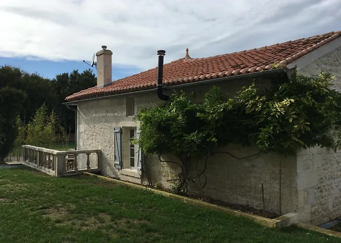 Swallows, Beautiful In The Grounds Of Chateau Beauvoir Semesterbostad Ecurat