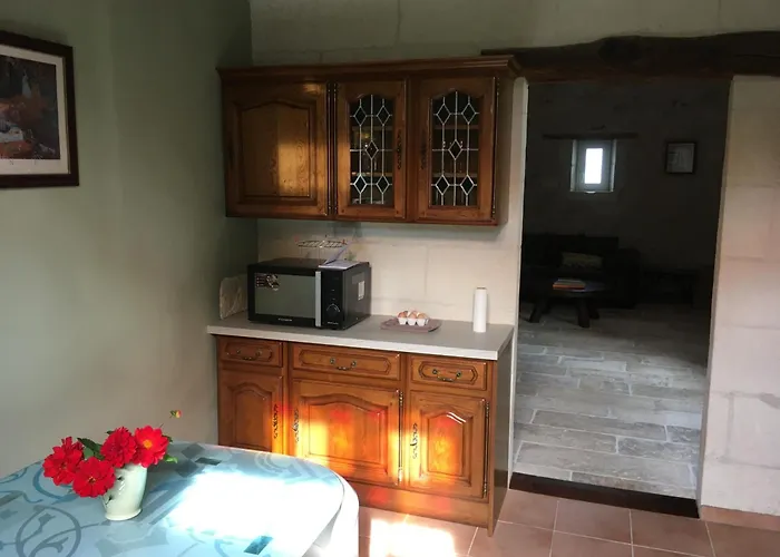 Swallows, Beautiful In The Grounds Of Chateau Beauvoir Semesterbostad *