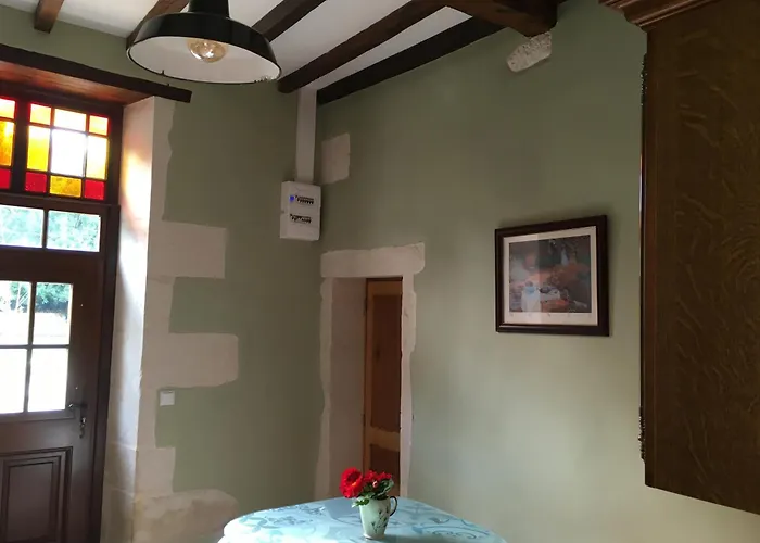 Swallows, Beautiful In The Grounds Of Chateau Beauvoir