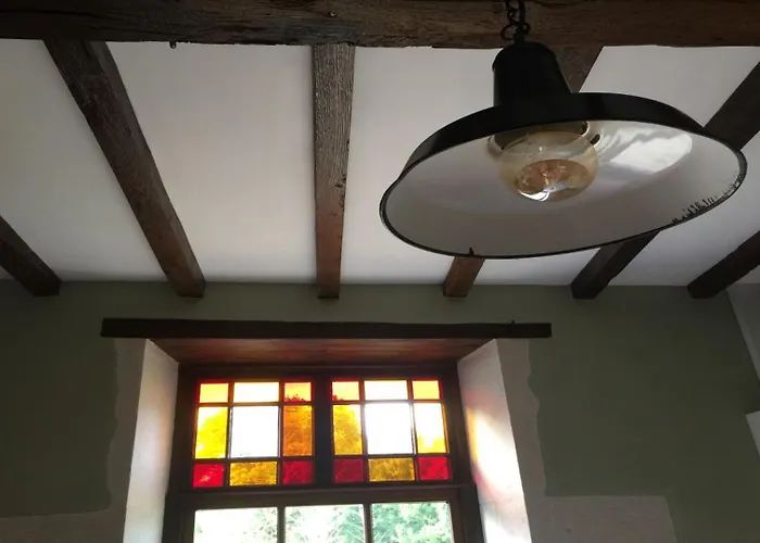 Swallows, Beautiful In The Grounds Of Chateau Beauvoir Semesterbostad Ecurat