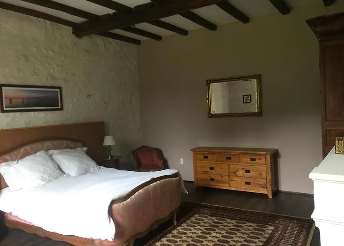 Swallows, Beautiful In The Grounds Of Chateau Beauvoir Ecurat