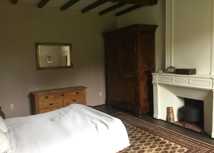 Swallows, Beautiful In The Grounds Of Chateau Beauvoir Ecurat