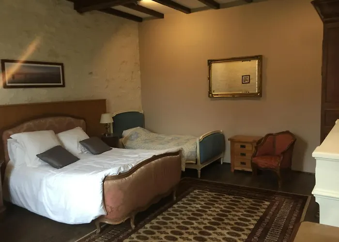 Swallows, Beautiful In The Grounds Of Chateau Beauvoir Ecurat