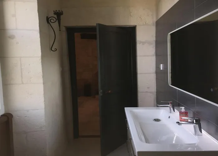 Swallows, Beautiful In The Grounds Of Chateau Beauvoir Semesterbostad