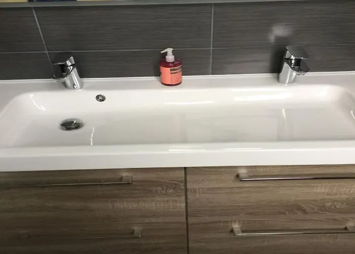 Swallows, Beautiful In The Grounds Of Chateau Beauvoir