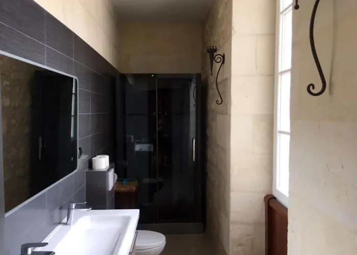 Swallows, Beautiful In The Grounds Of Chateau Beauvoir Ecurat