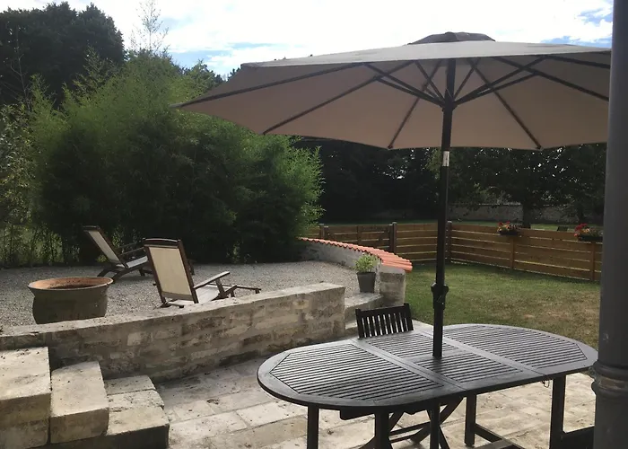 Swallows, Beautiful In The Grounds Of Chateau Beauvoir *