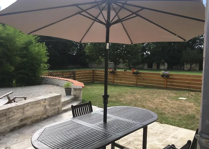 Swallows, Beautiful In The Grounds Of Chateau Beauvoir Ecurat