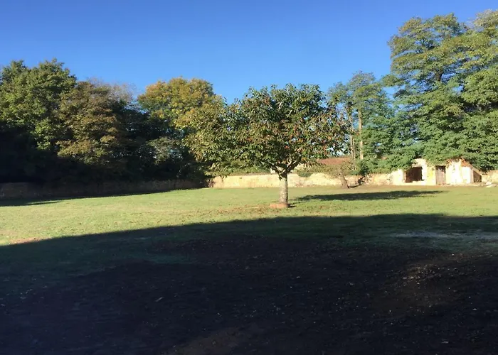 Swallows, Beautiful In The Grounds Of Chateau Beauvoir Ecurat