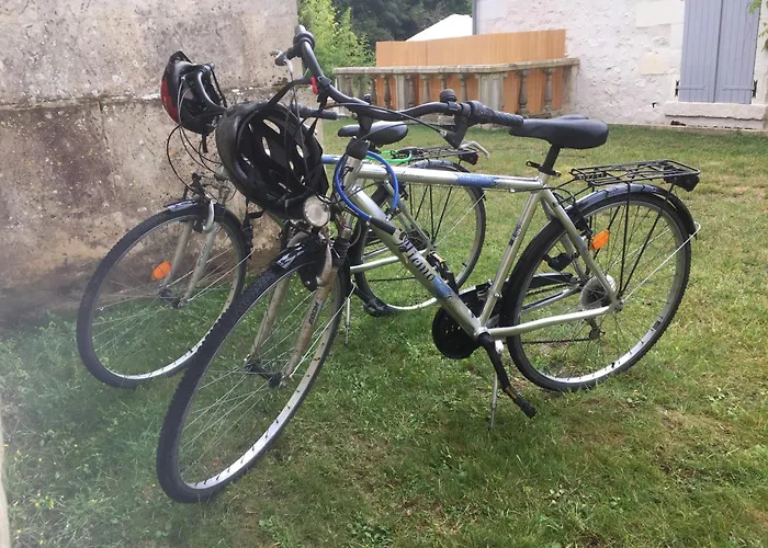 Swallows, Beautiful In The Grounds Of Chateau Beauvoir * Ecurat
