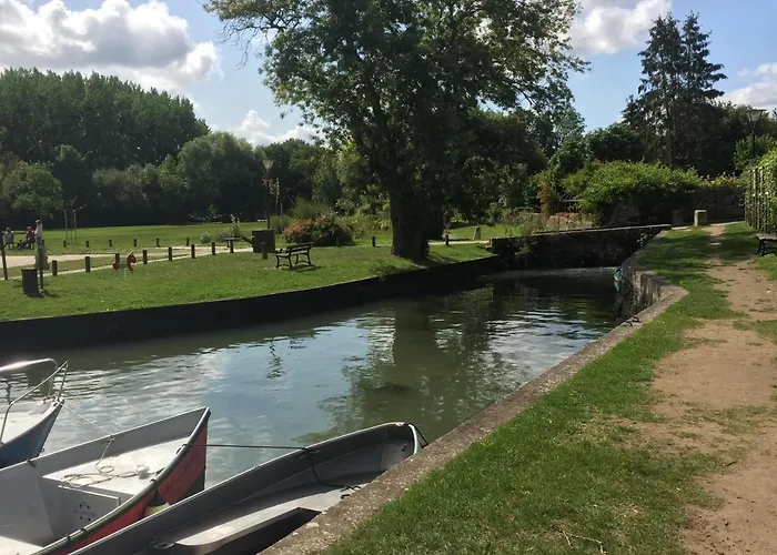 Swallows, Beautiful In The Grounds Of Chateau Beauvoir *
