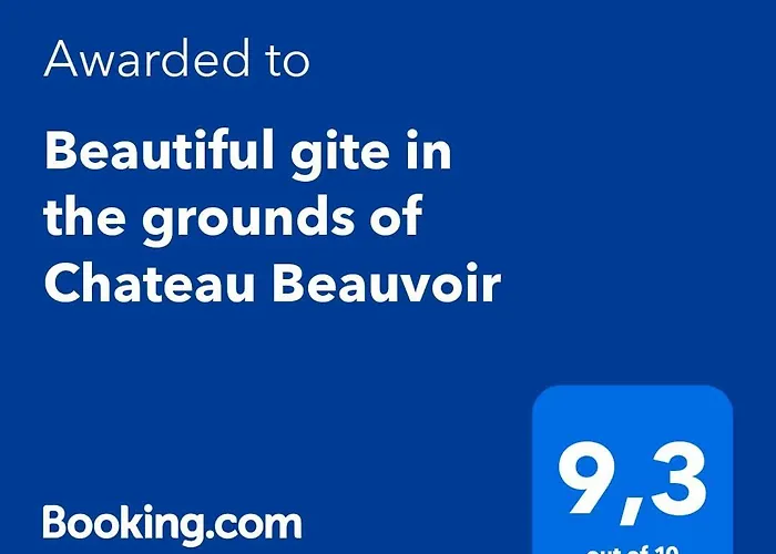 Swallows, Beautiful In The Grounds Of Chateau Beauvoir Ecurat